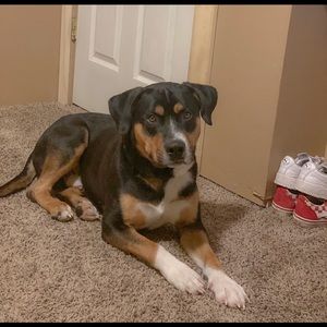 Meet your Posher, Gabriela